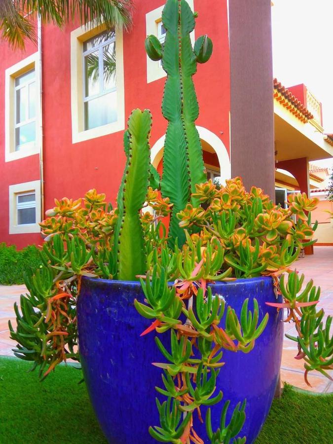 Villa Casa Viera Buzanada Exterior foto